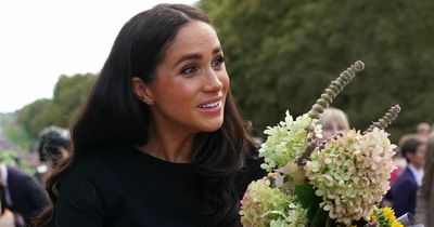 What Meghan Markle appeared to say to aide during Windsor walkabout