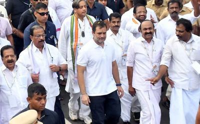 Bharat Jodo Yatra has worried the BJP: Jairam Ramesh