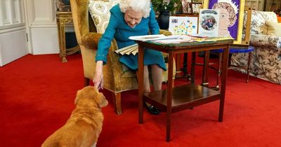 Prince Andrew confirms what will happen to Queen's beloved pet corgis