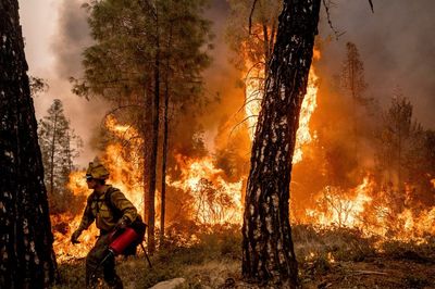 Homes still threatened, progress reported on California fire