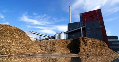 Wealthy families stump up $80 million for Singleton biomass generator