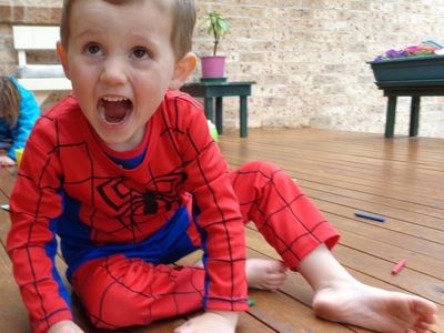 Eight years since William Tyrrell vanished