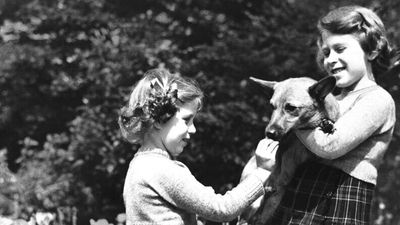 Queen Elizabeth II loved corgis from childhood, and many still associate the breed with her