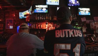 Bears fans, business owners have mixed feelings about potential move to suburbs