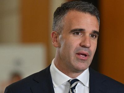 Privatisation laws set to pass in SA