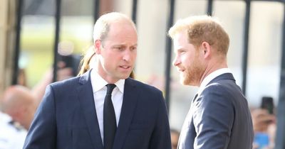 Prince William and Harry 'may walk side by side behind coffin' at Queen's funeral