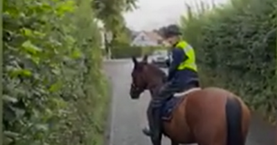Driver calls horse rider 'middle class t**t' and tells her 'cars don't have to slow down for you'