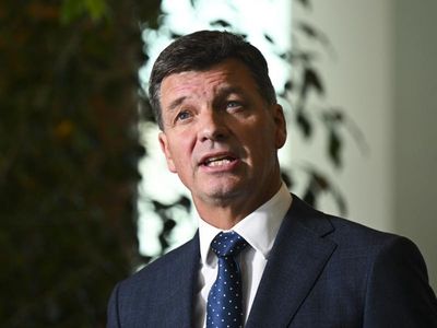 Angus Taylor's firm has to fix eco-damage
