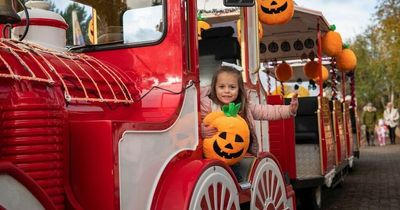 COMPETITION: Win a family pass to M&D's popular Pumpkin Festival this Hallowe'en