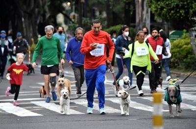 'Part of the family': Mexico City's dog race celebrates canine community