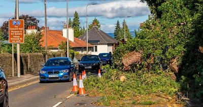 Delays for motorists travelling in and out of Perth after tree collapses on A85