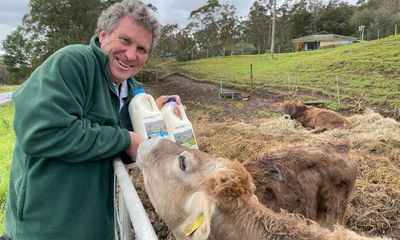 Milking the local market: shaking up the NSW south coast dairy industry