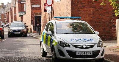 Cannabis farm with 100 plants raided and destroyed by police in Newcastle suburb