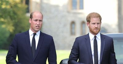 Prince William felt 'uncomfortable' greeting well-wishers at Windsor without Harry