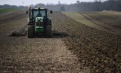 Fears drought and high gas prices could cause UK food shortages this winter