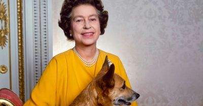 Queen sent 'wickedly funny' letters to staff's dogs on behalf of her corgis
