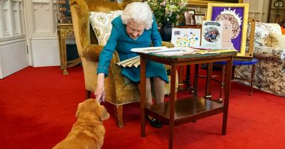 Queen's corgis to stay in Royal Family but her spaniel set to face a different fate