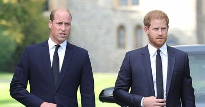 William and Harry will not be part of procession following Queen's coffin on Monday