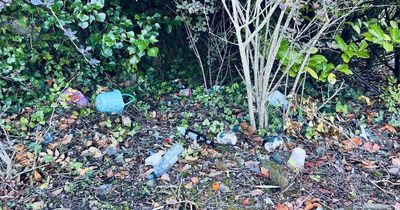 The Earth's Corr: We need urgent action on the litter mucking up NI's image