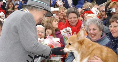 Grieving corgi owners say community has 'lost part of our world' after Queen's death