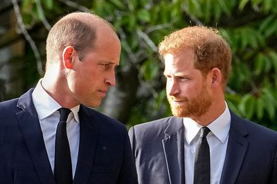William and Harry reuniting was a ‘symbolic gesture’, royal expert says