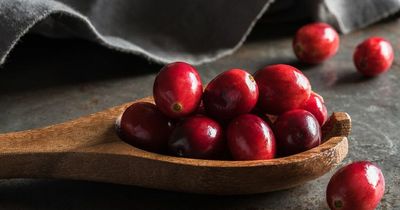 'Christmas favourite cranberries boost your brain and cut your cholesterol too'