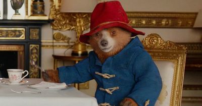 BBC ruthlessly mocked for sharing 'shock' news that Paddington Bear isn't actually real