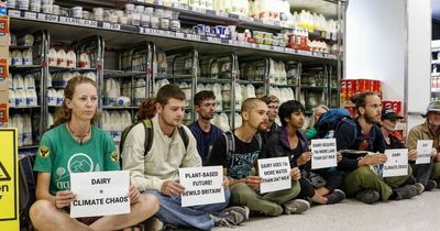 Animal rights activists claim to have disrupted milk supplies in Bristol