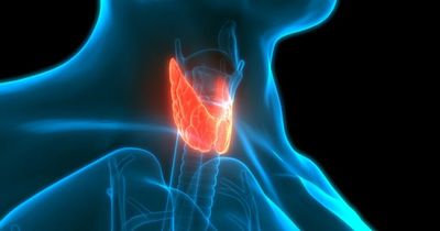 Underactive thyroid: Early warning sign of 'invisible illness' that only appears in the morning
