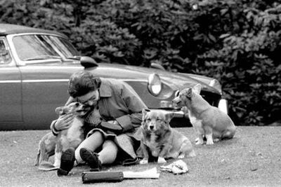 The Leader podcast: What now for the Queen’s Corgis?