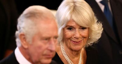 Queen Consort Camilla to 'take over the reins' of former monarch's favourite interests