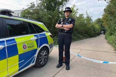 Essex: Murder probe launched after man dies in wooded area in Colchester