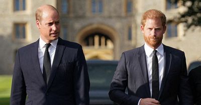 Prince Harry 'ate separately from Charles and William' in hours after Queen's death