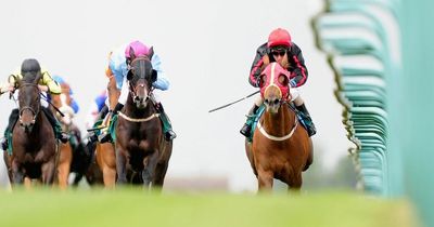 Newsboy's Tuesday horse racing tips and Nap for meetings including Yarmouth and Redcar