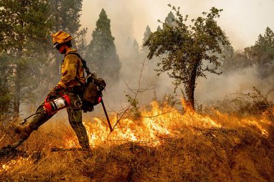 Thousands evacuated as wildfires spread across western US