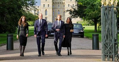 Prince William sent 'last minute text' to Harry before viewing tributes at Windsor