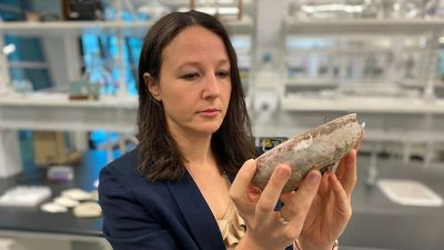 South Australian scientists are tracking the origins of seafood to fight illegal fishing and fraudulent labelling