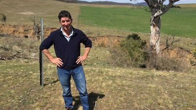 Court upholds finding company part-owned by Angus Taylor illegally cleared grasslands