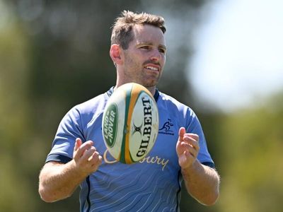 Wallaby Bernard Foley now wiser and greyer