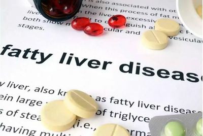 Research: Cold method for clearer fatty liver observation