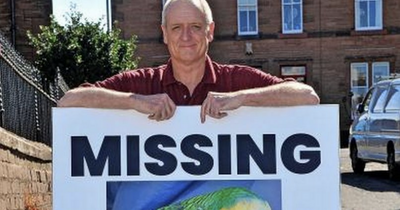 Man desperate to find missing parrot ups cash reward over cold weather fears