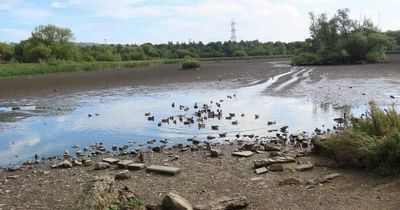 Gateshead residents worried as wildlife-rich pond dries up