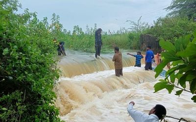 Andhra Pradesh: Heavy rain throws life out of gear in Srikakulam district