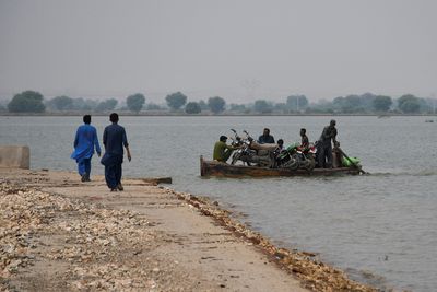 Fodder dries up for Pakistan's cattle as floodwaters stay high