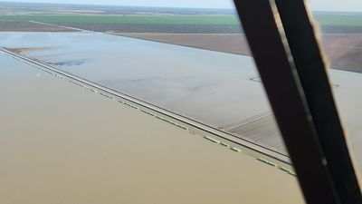 Estimated 30,000 megalitres of water lost after cotton property Cubbie Station's dam collapses