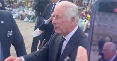 Woman catches incredible snap of King Charles on BeReal as he shakes hands with crowd