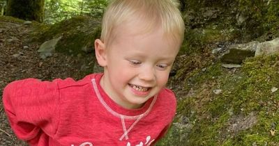 Toddler tragically killed by father driving truck in family farm accident