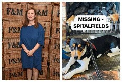 Star-studded search for top chef Angela Hartnett’s missing dog Betty