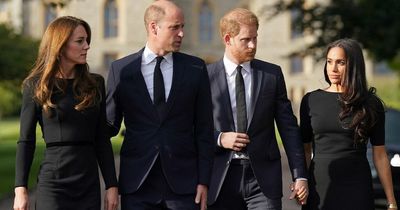 Prince Harry's friend insists 'feud' between him and William has 'gone' as they mourn Queen