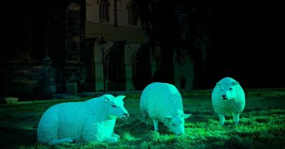 Sheep to light up Northumberland landmarks as part of Lindisfarne Gospels homecoming